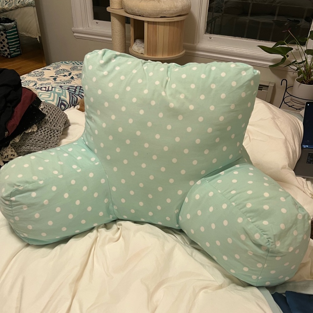 Potter Barn Teen Polka Dot Backrest Pillow & Cover